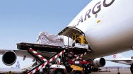 Cargo air services